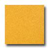 Armstrong Mystix 16 X 16 Chroma Stone Sol Yellow Vinyl Flooring