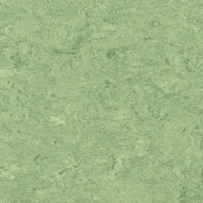 Armstrong Naturcote - Marmorette Tree Frog Vinyl Flooring