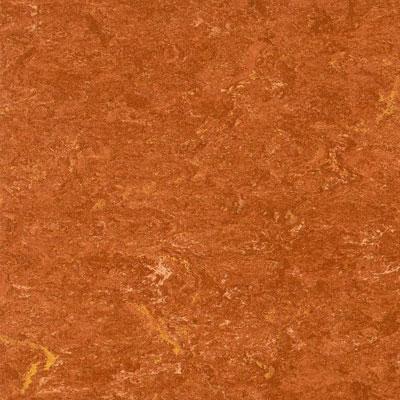 Armstrong Naturcote - Marmorette Pop Rocket Vinyl Flooring