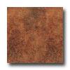 Armstrong Perspectives Sheet Oxidized Red Vinyl Flooring