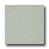 Armstrong Possibilities Petit Point Sage Greenery Vinyl Floorint