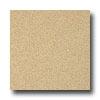 Armstrong Possibilities Petit Poiint Sandpiper Beige Vinyl Flooring