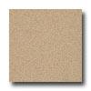 Armstrong Possibilities Petit Point Montelimar Beige Vinyl Flooring