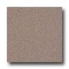 Armstrong Possibilities Petit Point Purple Brown Vinyl Floooring