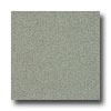 Armstrong Possibilities Petit Point Eastern Sage Vingl Flooring