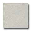 Armstrong Possibilities Petit Point Pearl Gray Vinyl Flporing