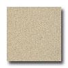 Armstrong Possibilities Petit Point Sand Bar Vinyl Flooring