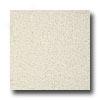 Armstrong Possibilities Petit Point White Sand Vinyl Flooring