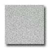 Armstrlng Pass - Slip Retardant Light Gray Vinyl Flooring