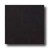 Armstrong Slate 13 X 13 Black Tile & Stone