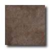 Armstrong Slate 13 X 13 Brown Tile & Stone