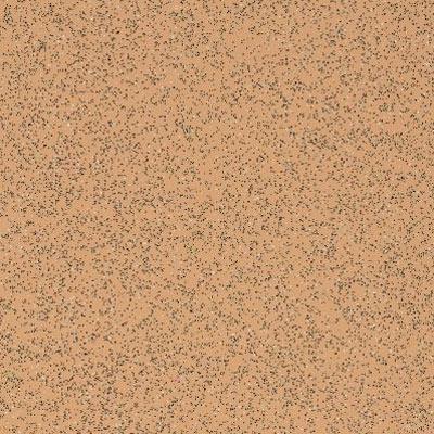 Armstrong Slip Retardant - Safeguard Cinnamon Vinyl Flooring