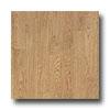 Armstrong Successor - English Oak 12 Prairie Vinyl Flooring