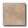 Armwtrong Terra Mingle 12 X 12 Terra Blend Tile & Stone