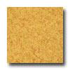 Arkstrong Translations Yellow Straw Vinyl Flooring