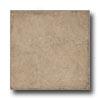 Armstrong Units - Dry Back Vicenza Clay Vinyl Flooring