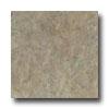 Armstrong Urban Settungs - Stucco Umbra Gray Vinyl Flooring