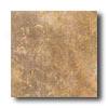 Ascot Nature 13 X 13 Brown Tile & Stone