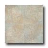 Bab Tile Earthtone 18 X18 Desert Tile & Stone