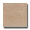 Bella Cera Georgia 13 X 13 Beige Tile & Stone