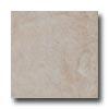 Bella Cera Georgia 18 X 18 Grey / Beige Tile & Stone