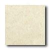 Bella Cera Gibraltar 16 X 16 Blanco Tile & Stone