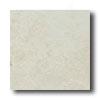 Bella Cera Pedra 13 X 13 Arena Tile & Stone