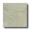 Bella Cera Renaissance 13 X 13 Cream Tile & Stone