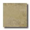 Bella Cera Renaissance 20 X 20 Noce Tile & Stone