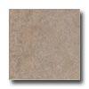 Bella Cera Sedona 13 X 13 Gray Tile & Stone