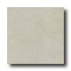 Bella Cera Slate 20 X 20 Bone Tile & Stone