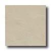 Bella Cera Slate 6 X 6 Ivory Tile & Stonee