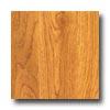 Bruce American Home Pioneer Oak Gunstock Laminate Flooring