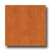 Bruce Turlington American Exotics Maple 5 Cinnamon Hardwood Flooring