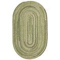 Capel Rugs Beachcomber 3x5 Marsh Green Area Rugs