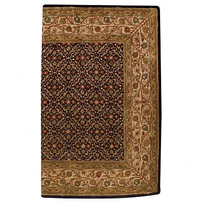 Capel Rugs Mahal-bahktiar 5x8 Black Area Rugs