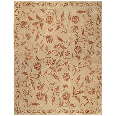 Capel Rugs Nepal Passaye Ii 8 X 10 Champagne Area Rugs