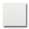 Caribe Stone Greek Marble Thassos White Tile & Free from ~s