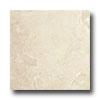 Caribe Stone Turkish Travertine Filled & Honed 12 X 12 Ivory Tile & Stone