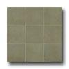 Casa Dolce Casa Clays 8 X 16 Caribbean Tile & Syone