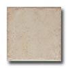 Cerdomus Durango 4 X 4 Beige Tile & Stone