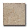 Cerdomus Pietra D Assisi 8 X 8 Noce Tile & Stone