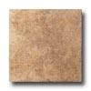 Cinca Forum 20 X 20 Nut Tile & Stone