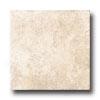 Cinca Forum 6 X 6 White Tile & Stone