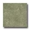 Cnica Limestone 20 X 20 Rectified Moss Tile & Stone