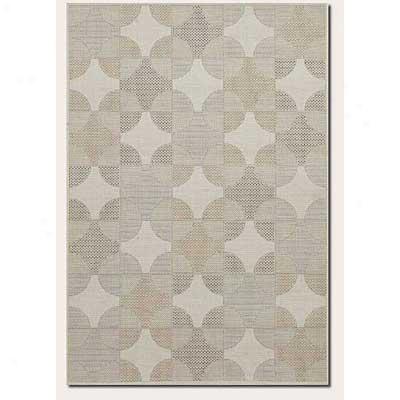 Couristan Five Seasojs 6 X 9 Neddick Area Rugs