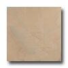 Crossville Buenos Aires Mood 6 X 6 Unpolished Pampa Tile & Stone