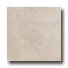 Crossville Buenos Aires Mood 12 X 12 Polished Polo Tile & Stone