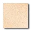 Crossville Cronos Polished 18 X 18 Beige Tile & Stone