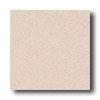 Crossville Cross-colors A 8 X 8 Polished Shetland Tile & Stone